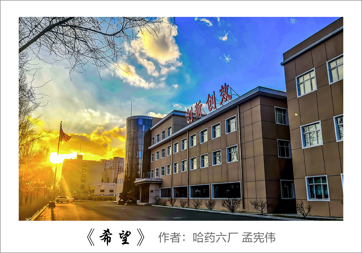 【迎国庆 展风采】我眼中的澳门银河网上官方赌场&mdash;&mdash;职工摄影大赛作品展示！