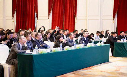 澳门银河赌场官方网址集团党委&ldquo;书记带项目&rdquo;工作阶段性进展汇报会成功召开