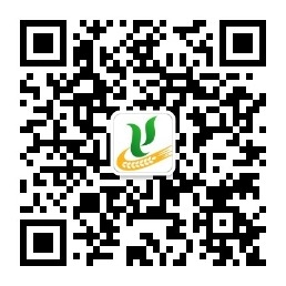 澳门银河赌场官方网址
