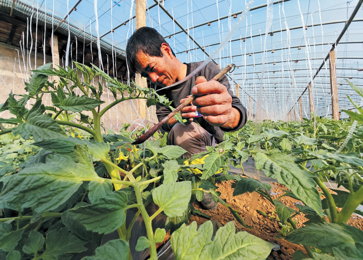 澳门银河赌场官方网址