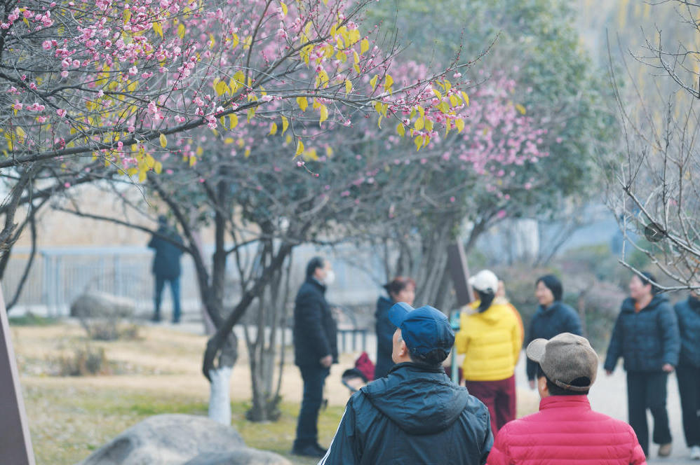 澳门银河赌场官方网址