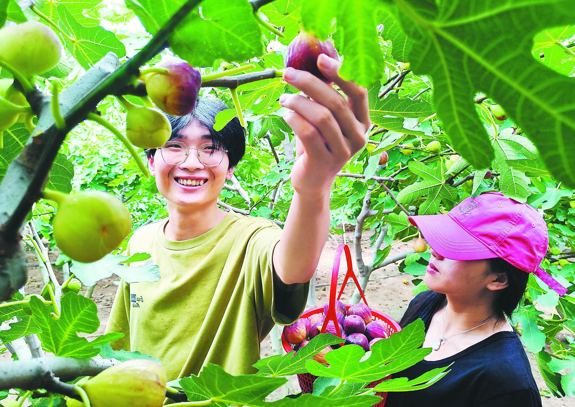 澳门银河赌场官方网址