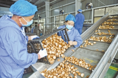 澳门银河赌场官方网址