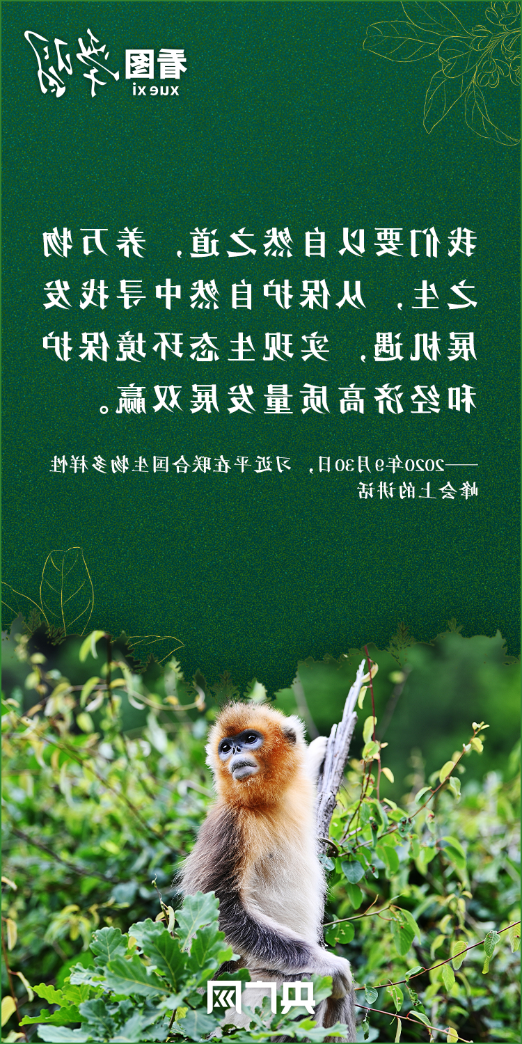 6.png 澳门银河赌场官方网址