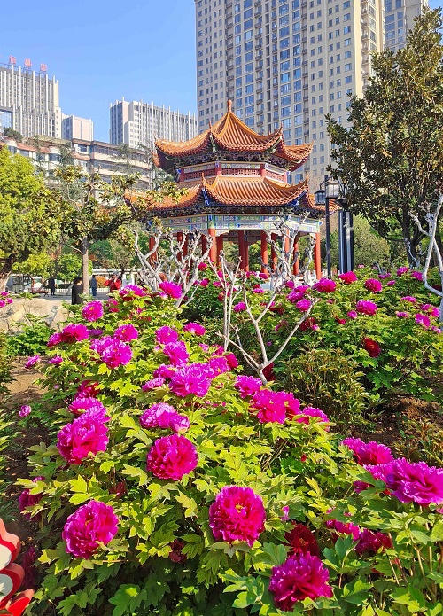 澳门银河赌场官方网址