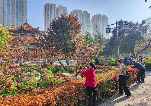 澳门银河赌场官方网址