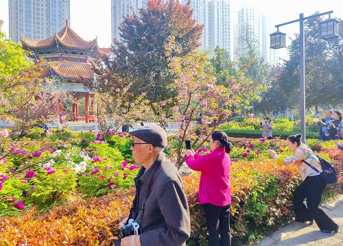 澳门银河赌场官方网址