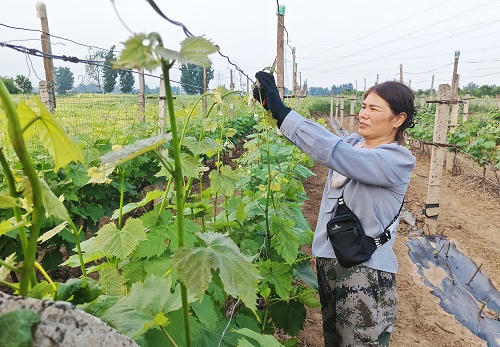 澳门银河赌场官方网址