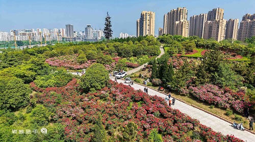 澳门银河赌场官方网址