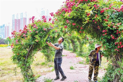 澳门银河赌场官方网址
