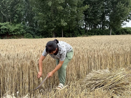 澳门银河赌场官方网址