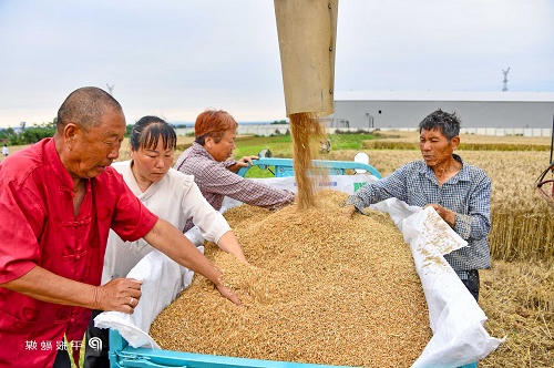 澳门银河赌场官方网址