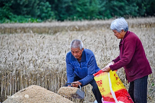 澳门银河赌场官方网址