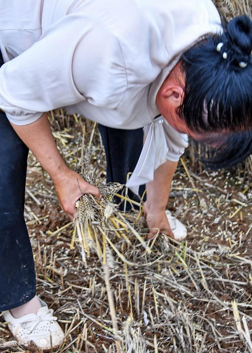 澳门银河赌场官方网址
