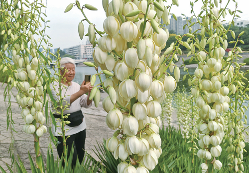 澳门银河赌场官方网址
